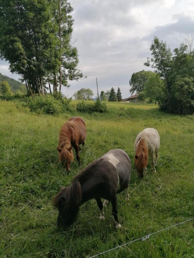Casa Ester Serina  Kültér fotó